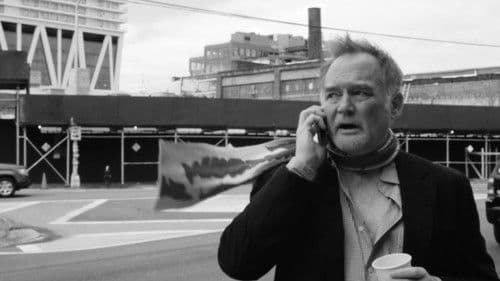 Welcome to Paradise Bild 1