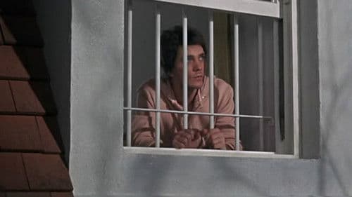 Das zweite Leben des Mr. Soames Bild 3