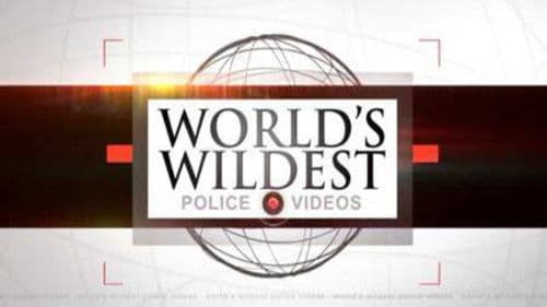 World's Wildest Police Videos Bild 1