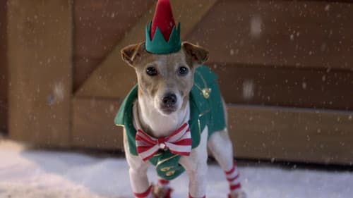 Santa Buddies - Auf der Suche nach Santa Pfote Bild 3