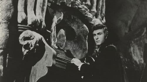 El mundo de los vampiros Bild 2