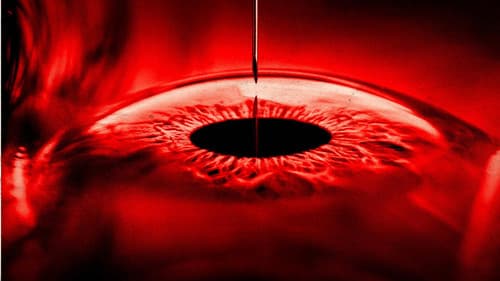 Forbidden Floor - The Home Bild 1