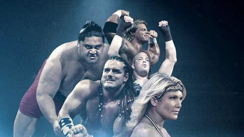 WWE Icons Bild 2