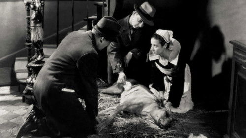 Le chien jaune Bild 2