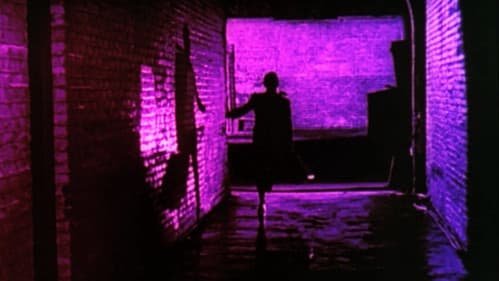 Auf der Flucht Bild 8