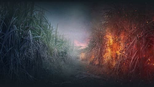 Reyka - Mord in Afrika Bild 3