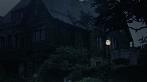 闇に浮かぶ白い肌 Bild 4