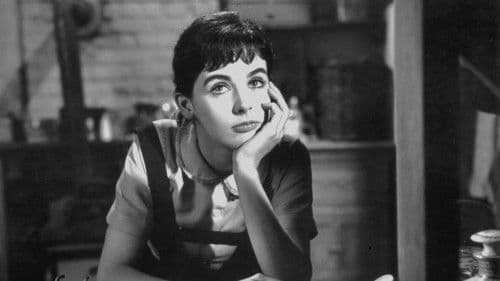 Das Tagebuch der Anne Frank Bild 4