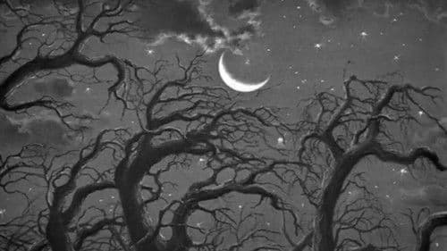 Die schöne Wassilissa Bild 3