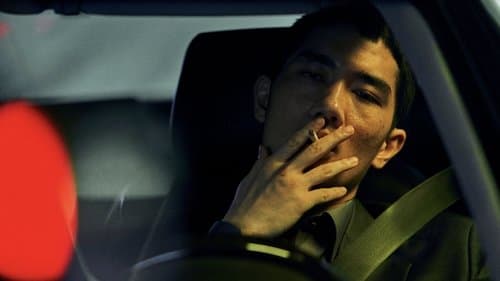 Night in Paradise Bild 2