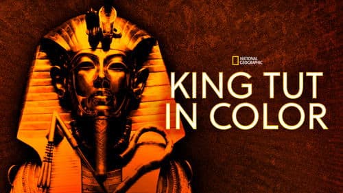 Tutanchamun in Farbe Bild 4