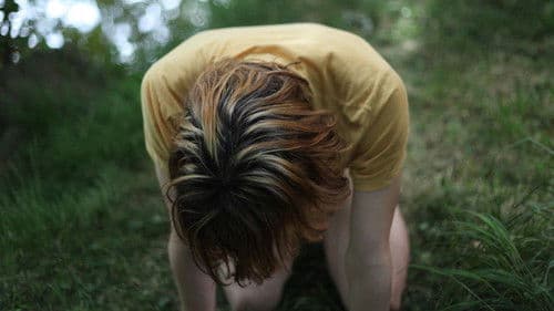 Like Cattle Towards Glow Bild 3