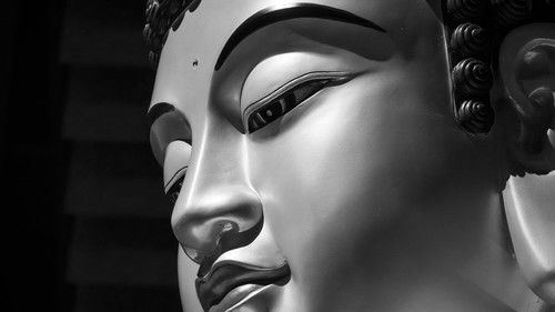 大佛普拉斯 Bild 2