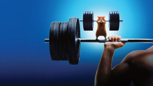 Human vs Hamster Bild 2