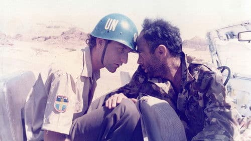 אוונטי פופולו Bild 2