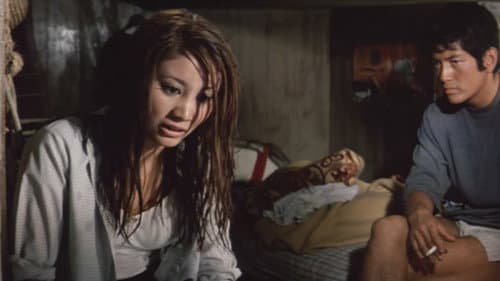 太陽は見た Bild 3