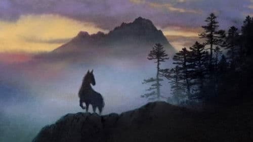 種山ヶ原の夜 Bild 5