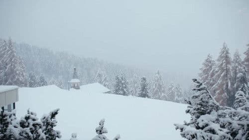 O Night Divine Bild 3