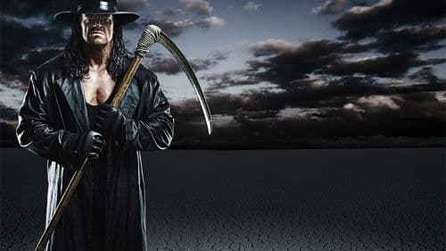 WWE Backlash 2008 Bild 1