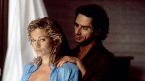 Die schwarze Witwe Bild 5