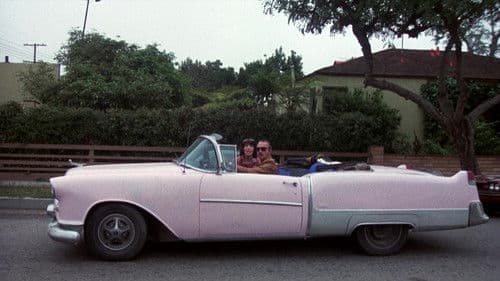 Die Katze kennt den Mörder Bild 1