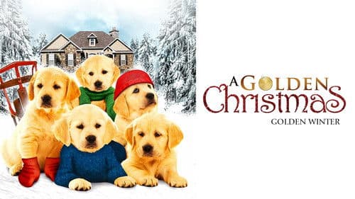 Golden Winter - Wir suchen ein Zuhause Bild 1