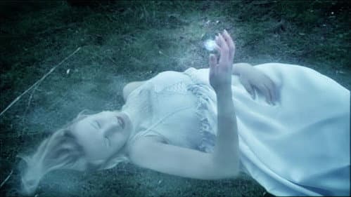 Два волка Алой принцессы Bild 4