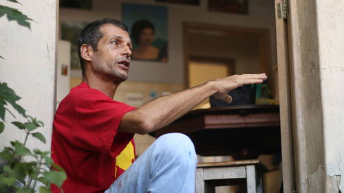 Observar e Absorver Bild 1