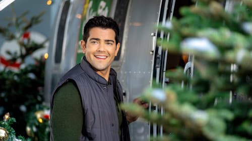 Christmas Under the Stars Bild 5