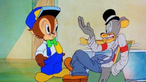 Mann oder Maus Bild 1