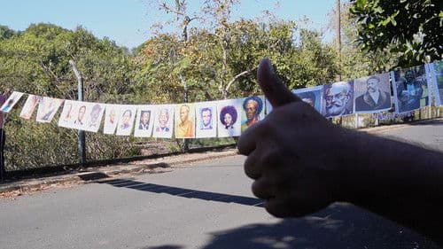 A Febre do Macaco Preto Bild 3