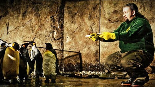 King Ping - Tippen Tappen Tödchen Bild 1