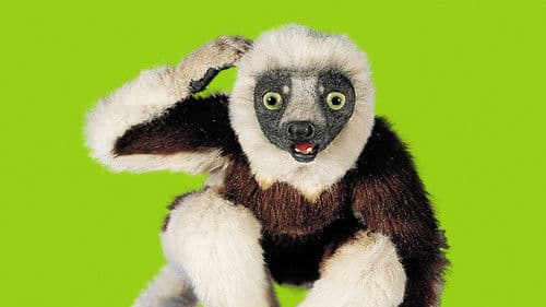 Zoboomafoo Bild 3