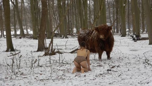 Missing Link Bild 1