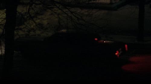 I Am Not A Serial Killer Bild 5