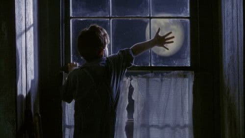 The Neon Bible Bild 4