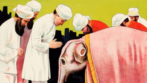 The Adventures of Kathlyn Bild 1