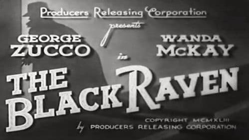 The Black Raven Bild 6