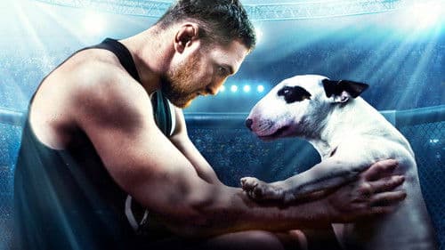 Бультерьер Bild 1