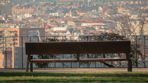 Lo que nunca te dije pero debería haberte dicho Bild 2