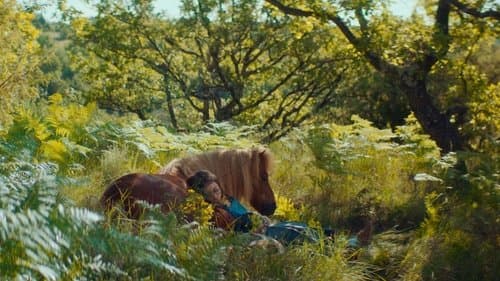 Mein Freund Poly Bild 1