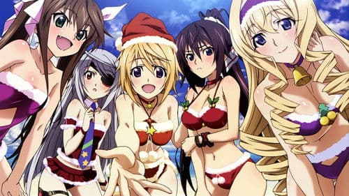 Infinite Stratos Bild 7