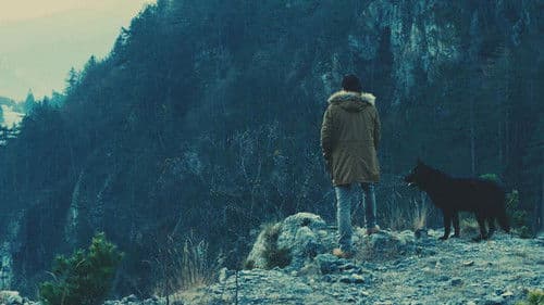 Пси умиру сами Bild 1