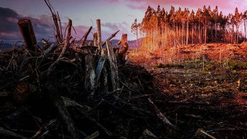 Atlas of a Changing Earth Bild 1