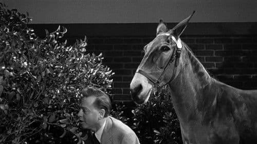 Francis in the Haunted House Bild 4