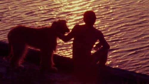 Boys in the Sand Bild 4