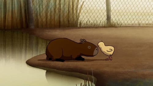 Wasserschweine Bild 2