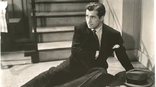 Desperate Cargo Bild 2