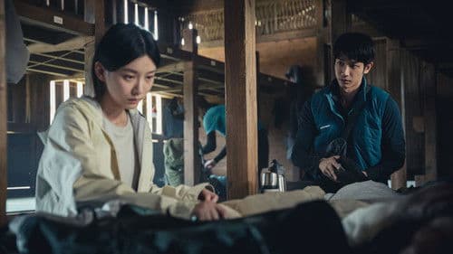 山忌 黃衣小飛俠 Bild 6