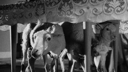 Der Würgeengel Bild 4